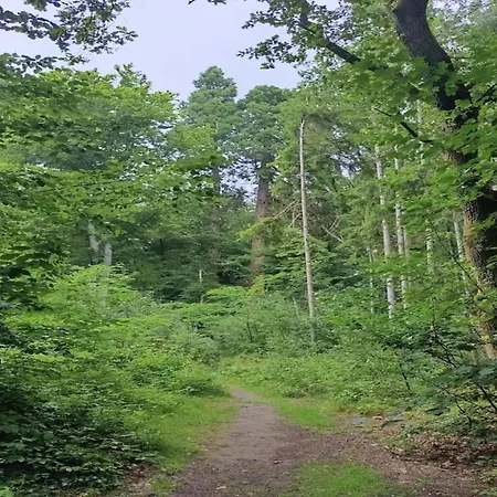 Chalet, 벤도르프