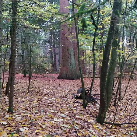 Дом отдыха Chalet, Wendorf (Kuhlen-Wendorf)